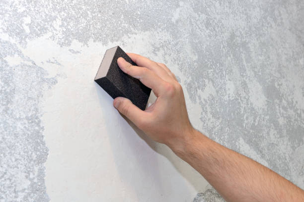 Best Industrial Mold Remediation  in Welby, CO