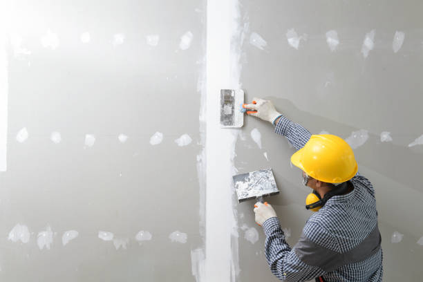 Best Basement Mold Removal  in Welby, CO