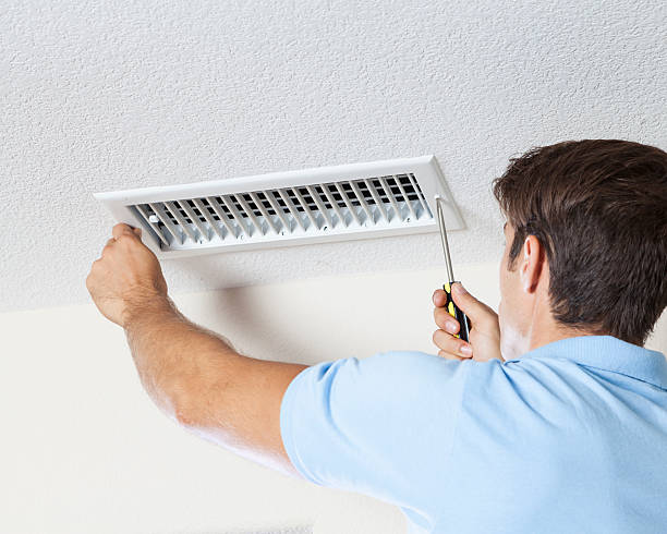 Best Attic Mold Removal  in Welby, CO